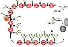 B?＼┕n"[裂醻檆RX3N'TWQ銌揹ny痨S???N[襨M蒌+鮶:濒戓L螓-多米在线入口